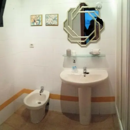 فيلة Sharon & Relax كوراليهو